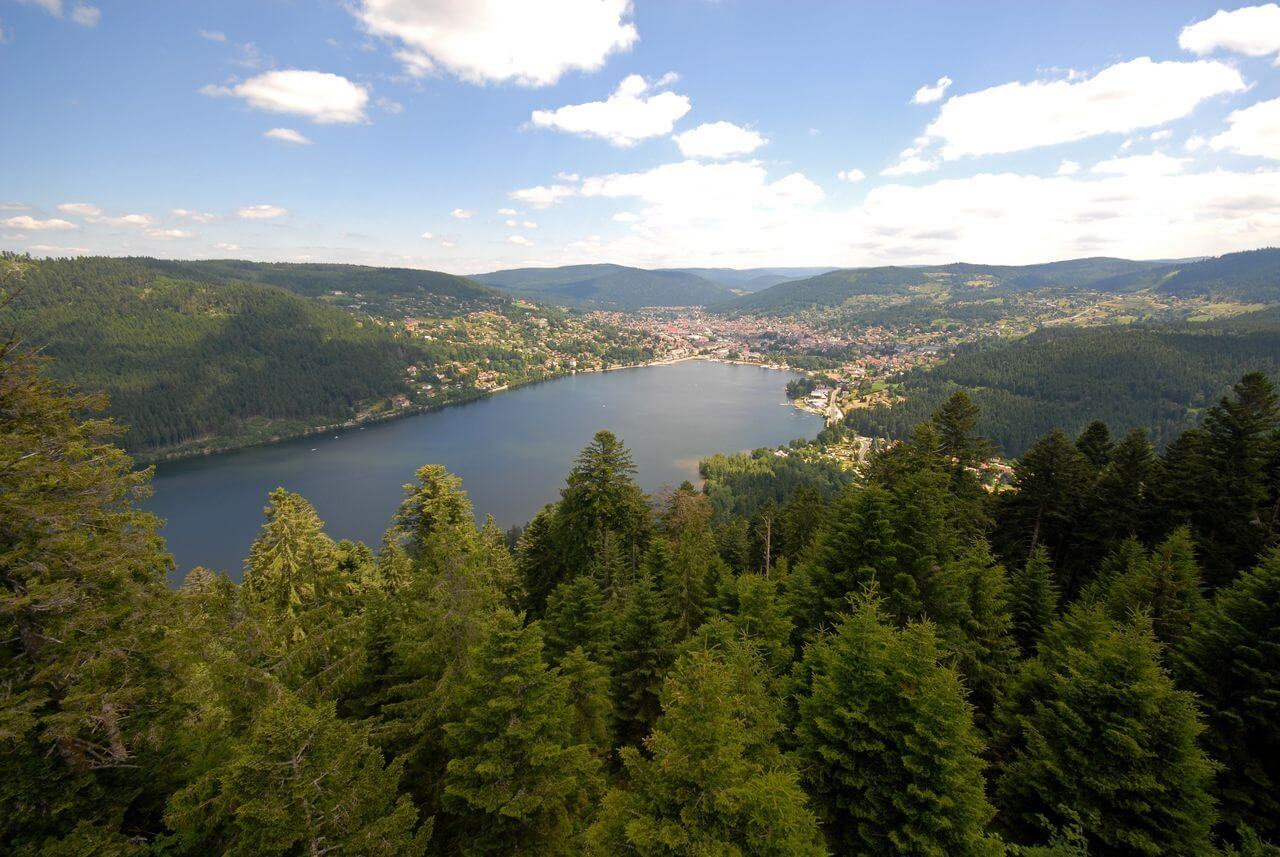 Le lac de GerardMer et sa forêt.