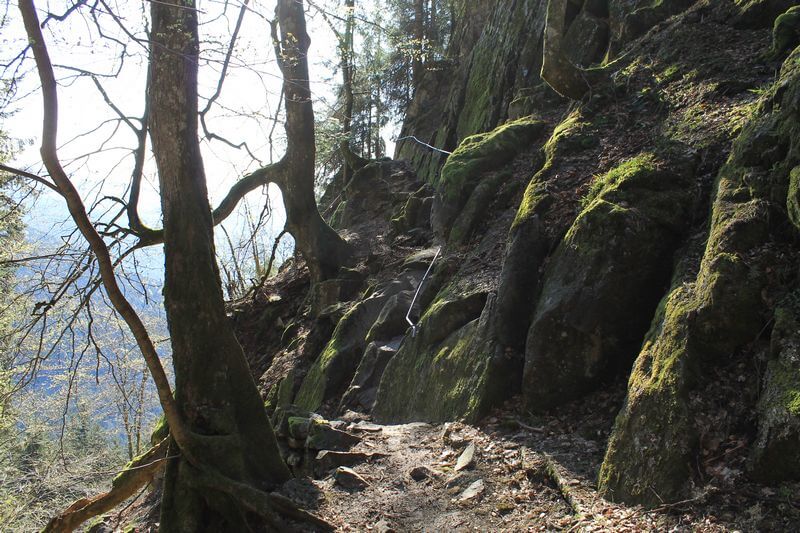 Le chemin escarpé du sentier des roches.